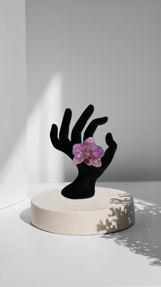 Ludovica Ring