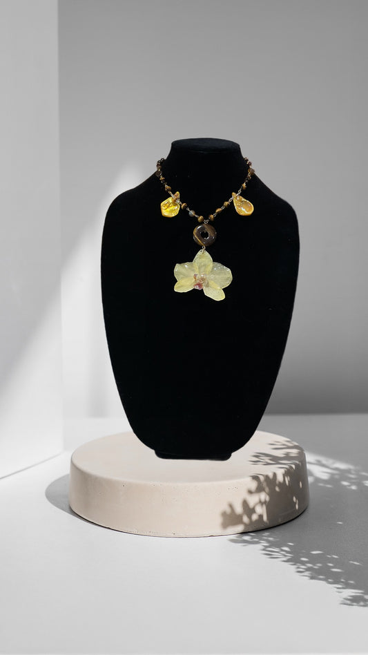 Laura Set